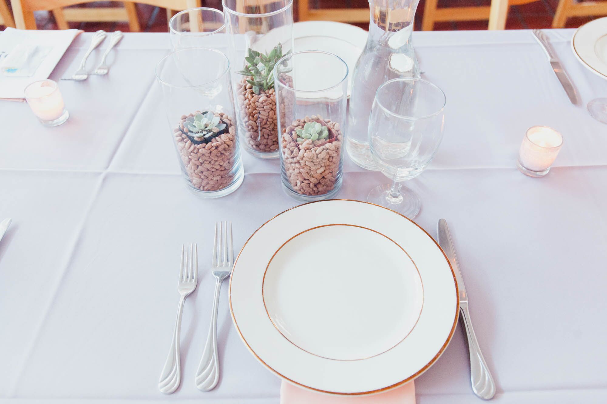 Minimal Place Setting with Succulent Centerpieces