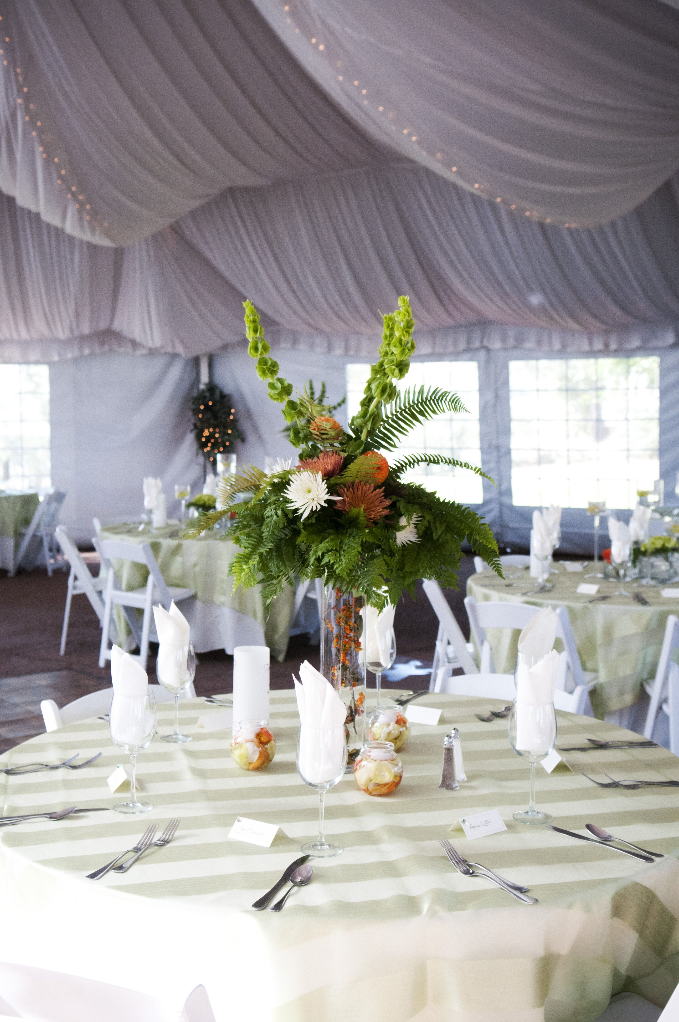 A Manor House Reception  in Littleton  CO 