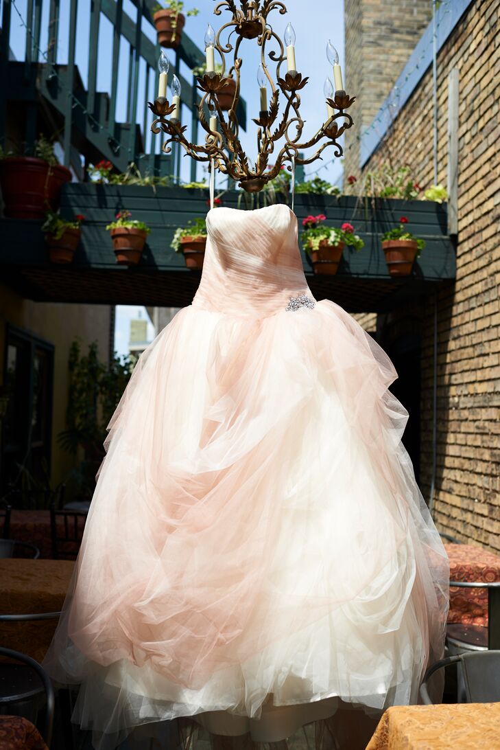 Blush Vera Wang Wedding Dress