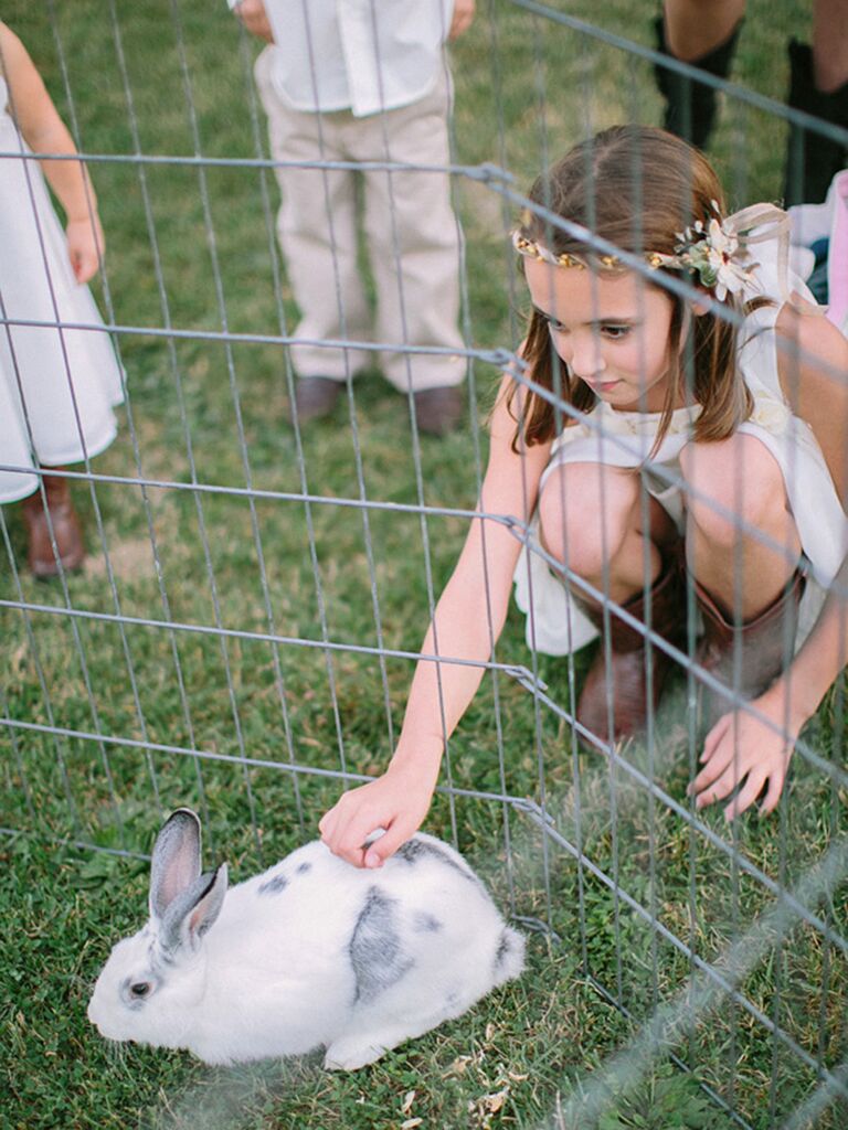 Petting zoo idea for kids at a wedding reception