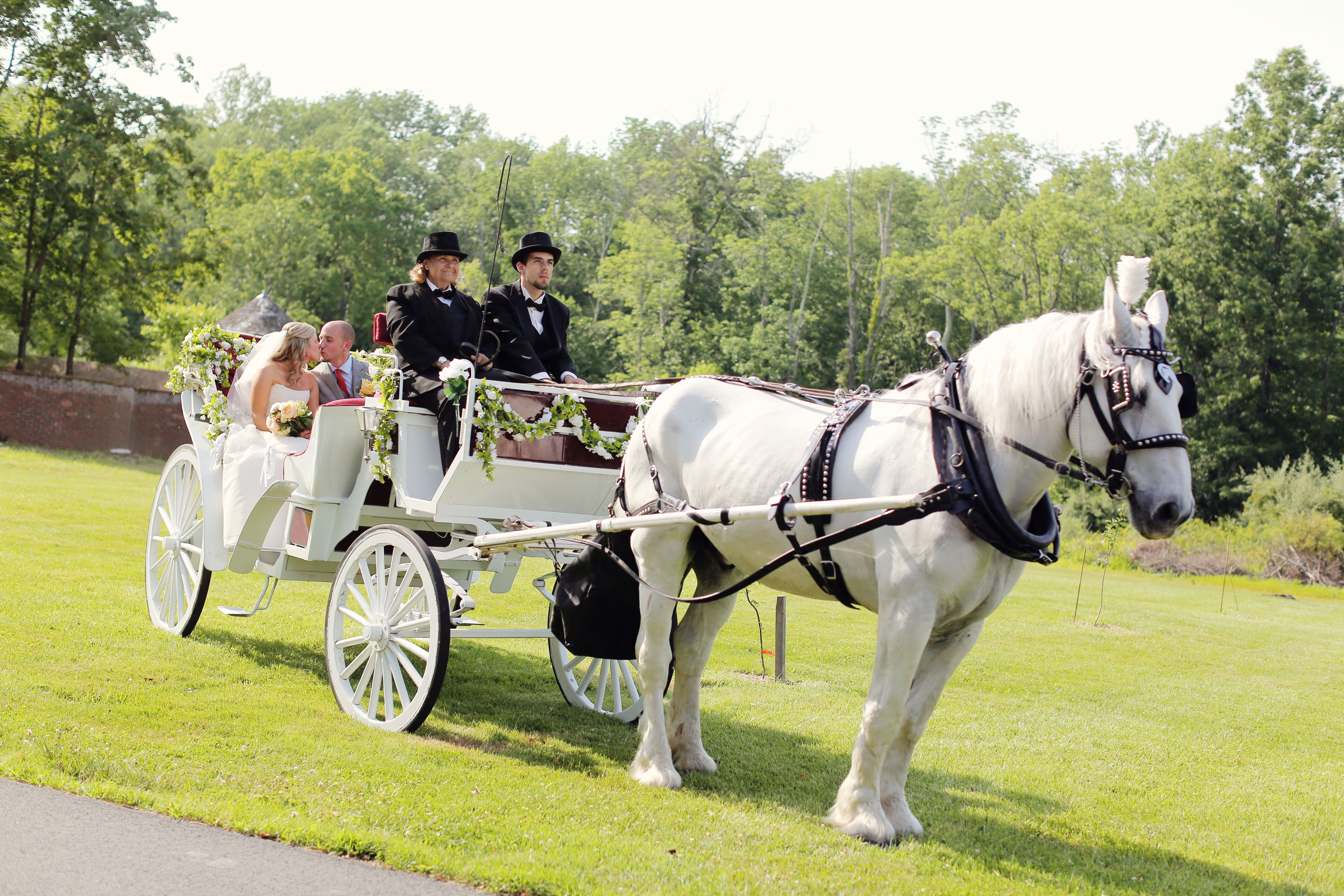 Horse-drawn-carriage Ceremony Exit