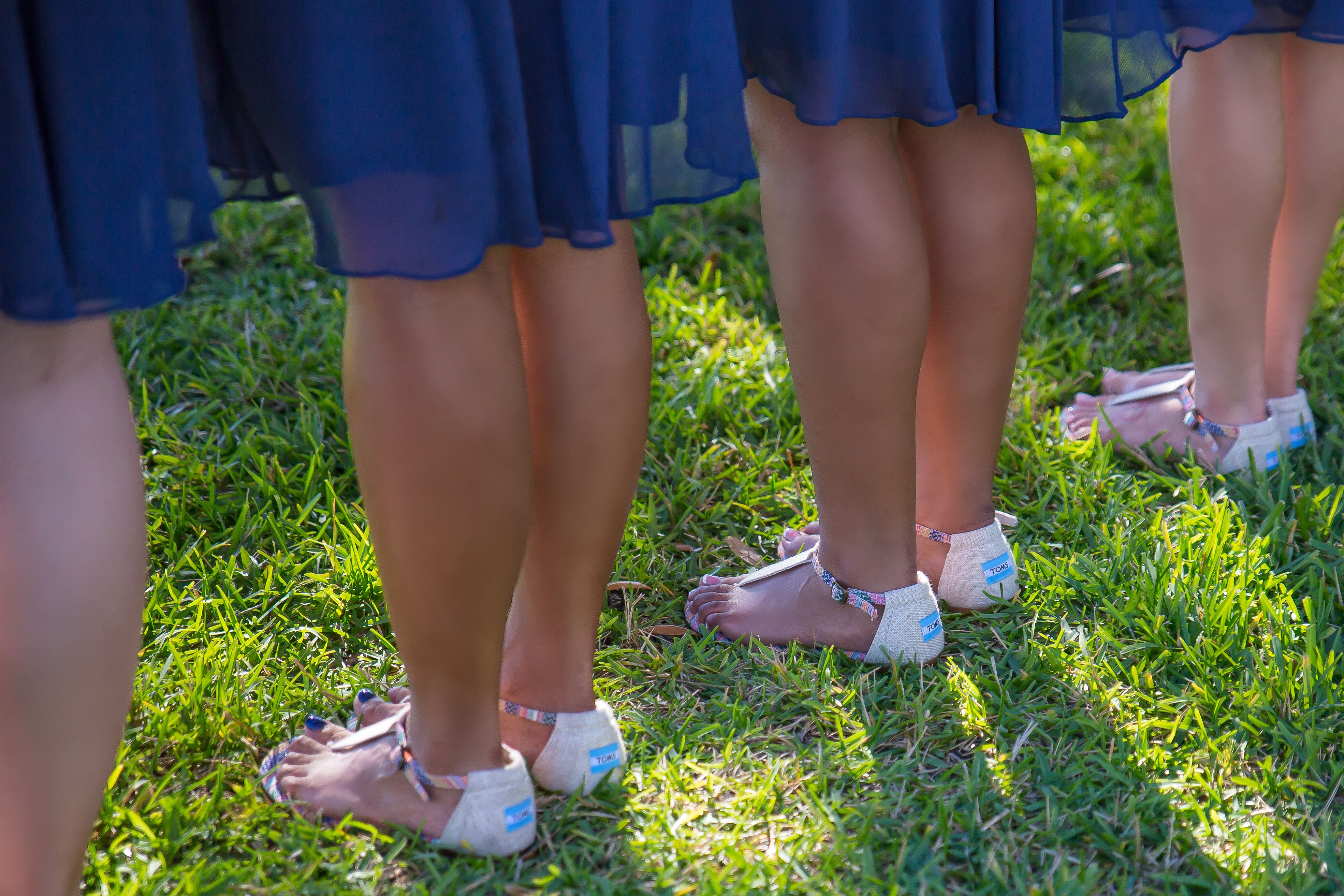 tan toms