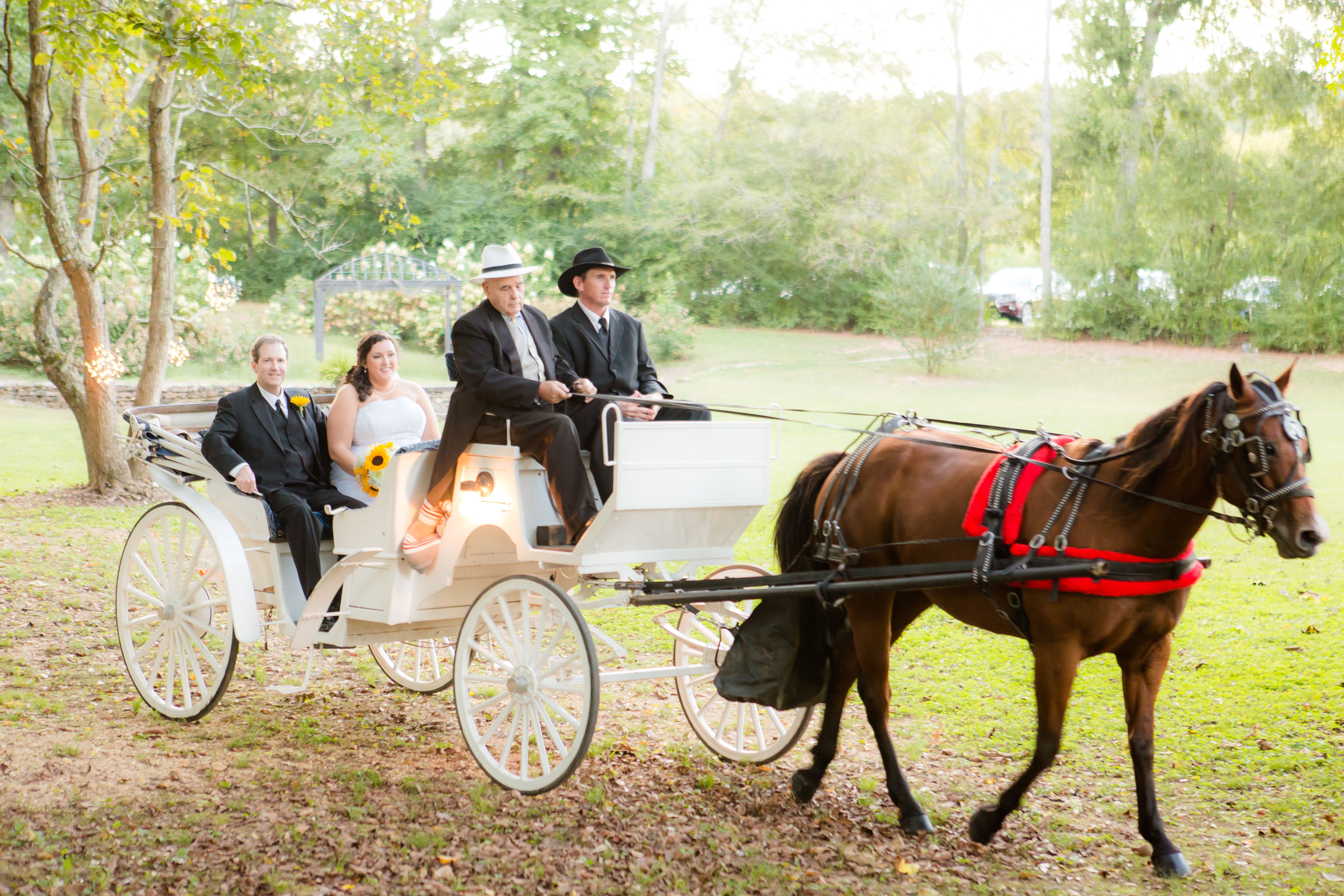 Horse and Carriage Ceremony Exit