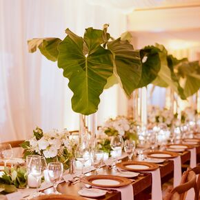 Outdoor Reception with King's Table and Wood Chairs