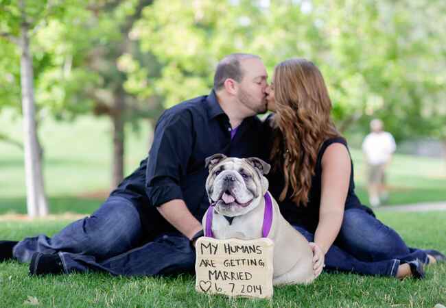 Engagement Photos With Dogs That Will Melt Your Heart