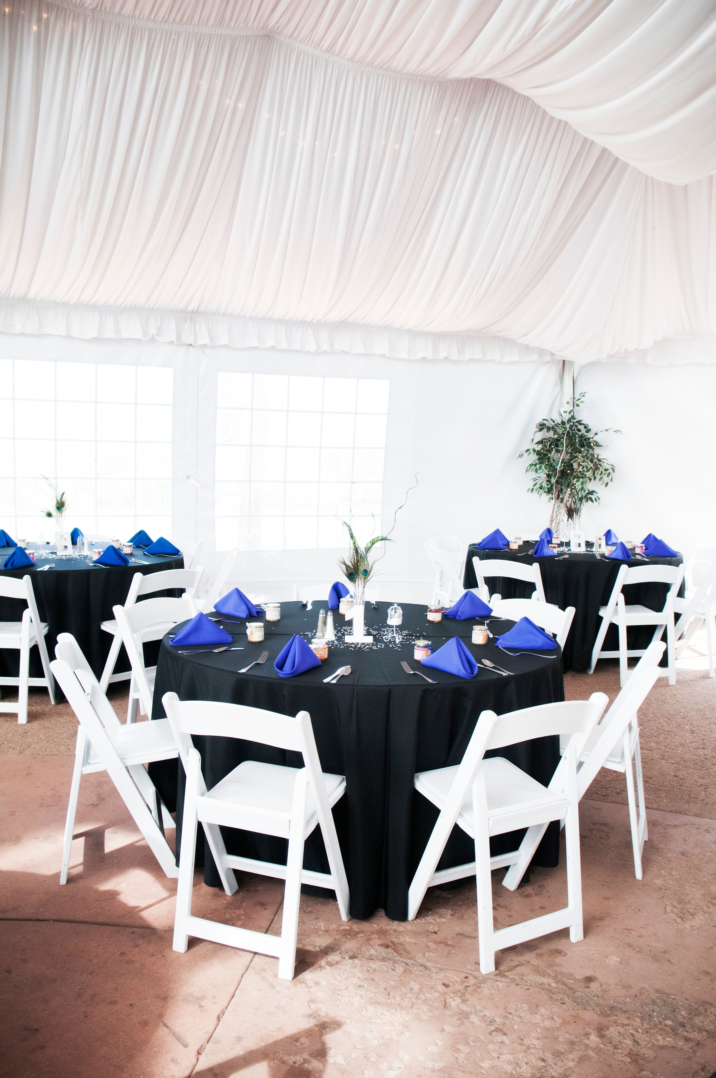 Black and Blue Wedding Reception