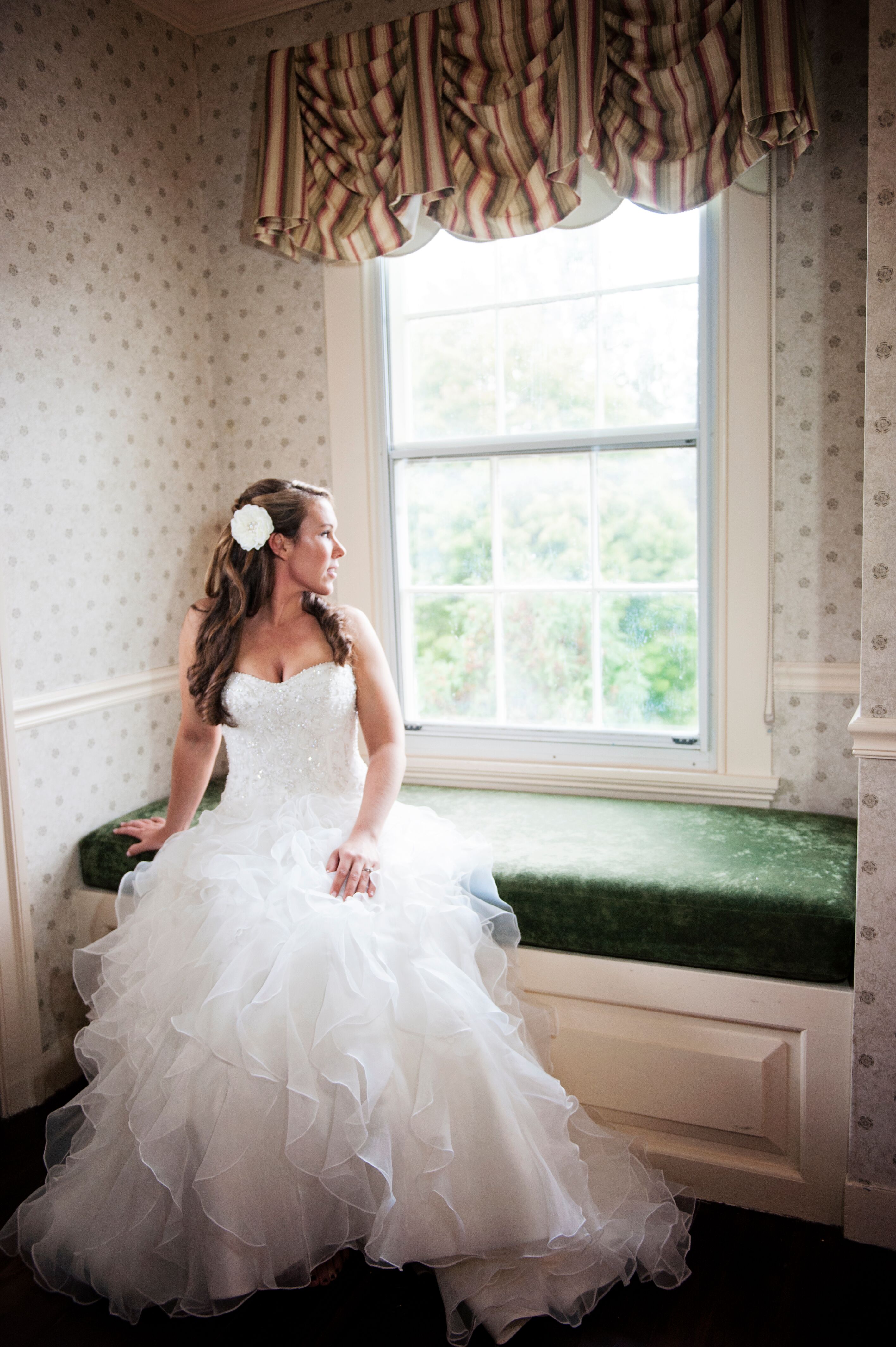 Bride and Her Wedding Dress