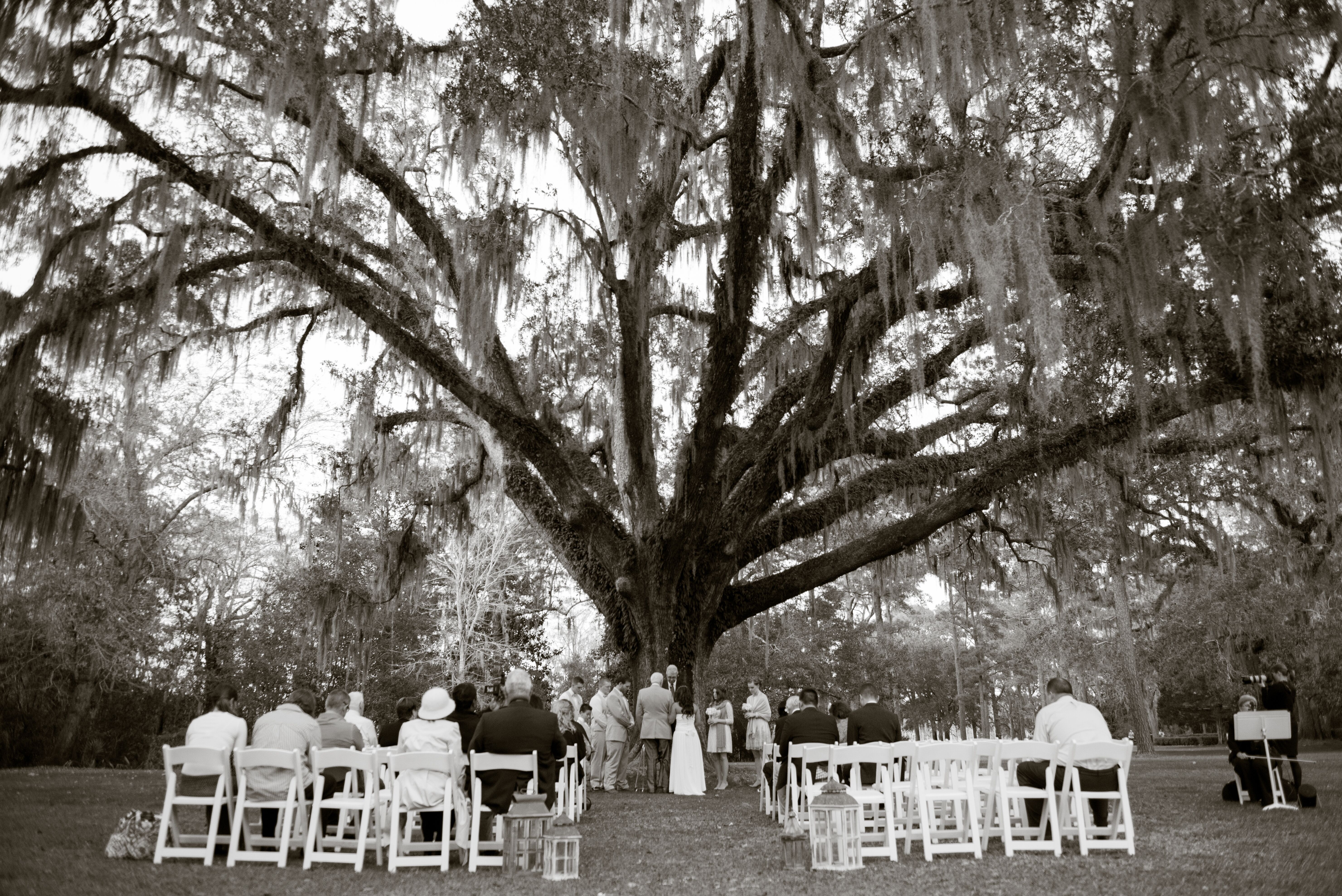 Eden Gardens State Park Wedding Tree Ceremony