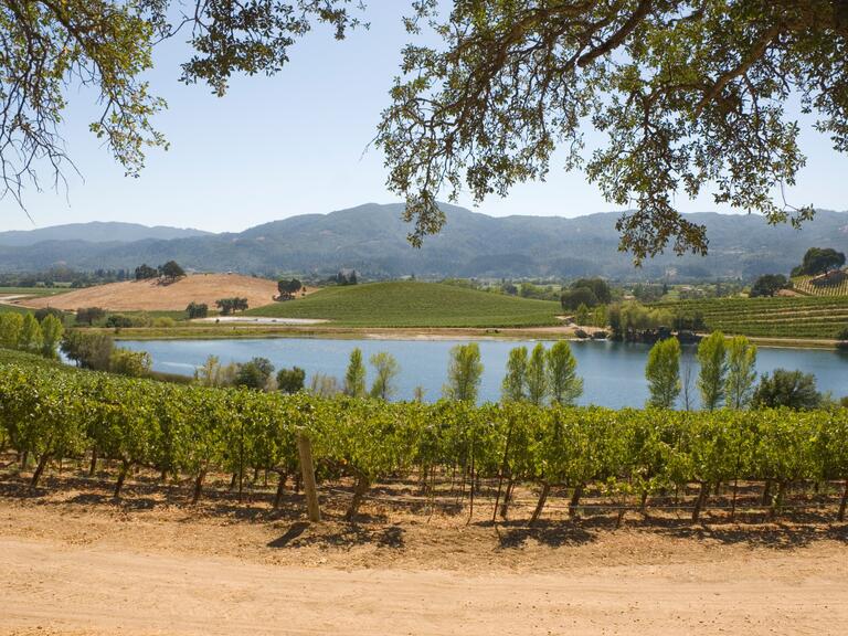 US wedding destination Napa Valley and Sonoma Valley, California 