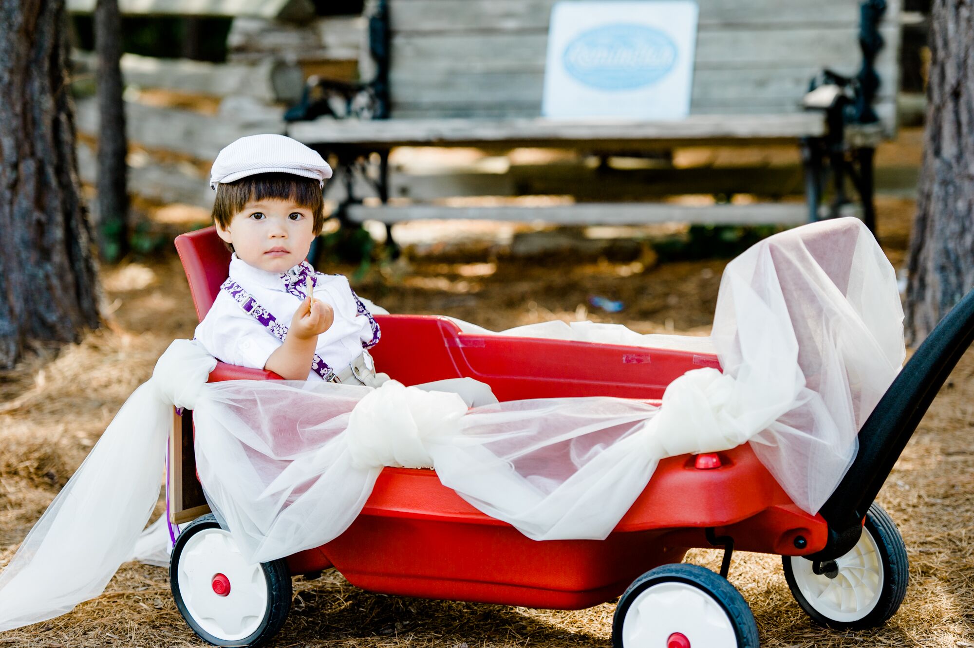 Baby ring bearer sales wagon