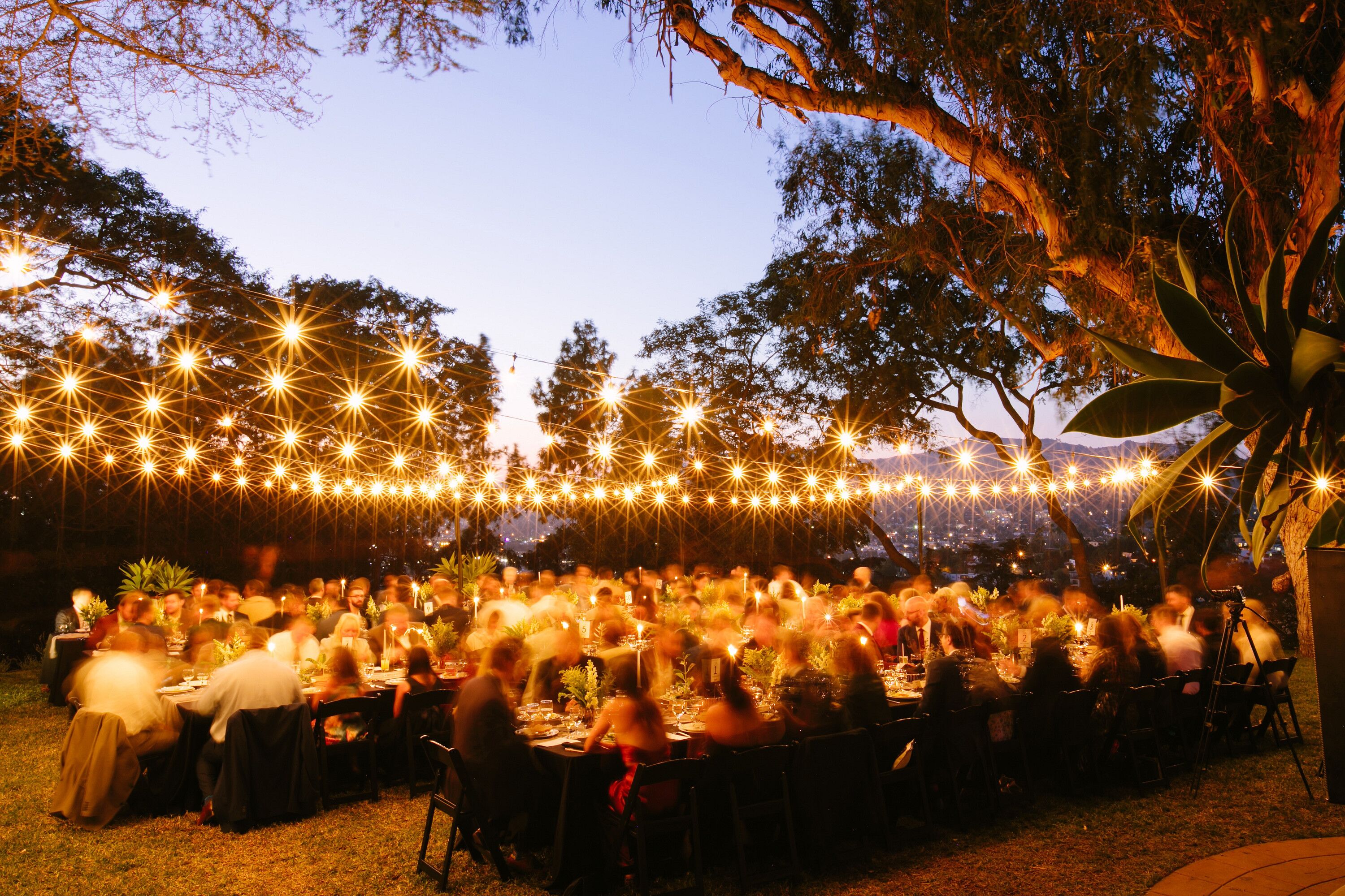 Sunset Reception with String Lights at Wedding in Los Angeles