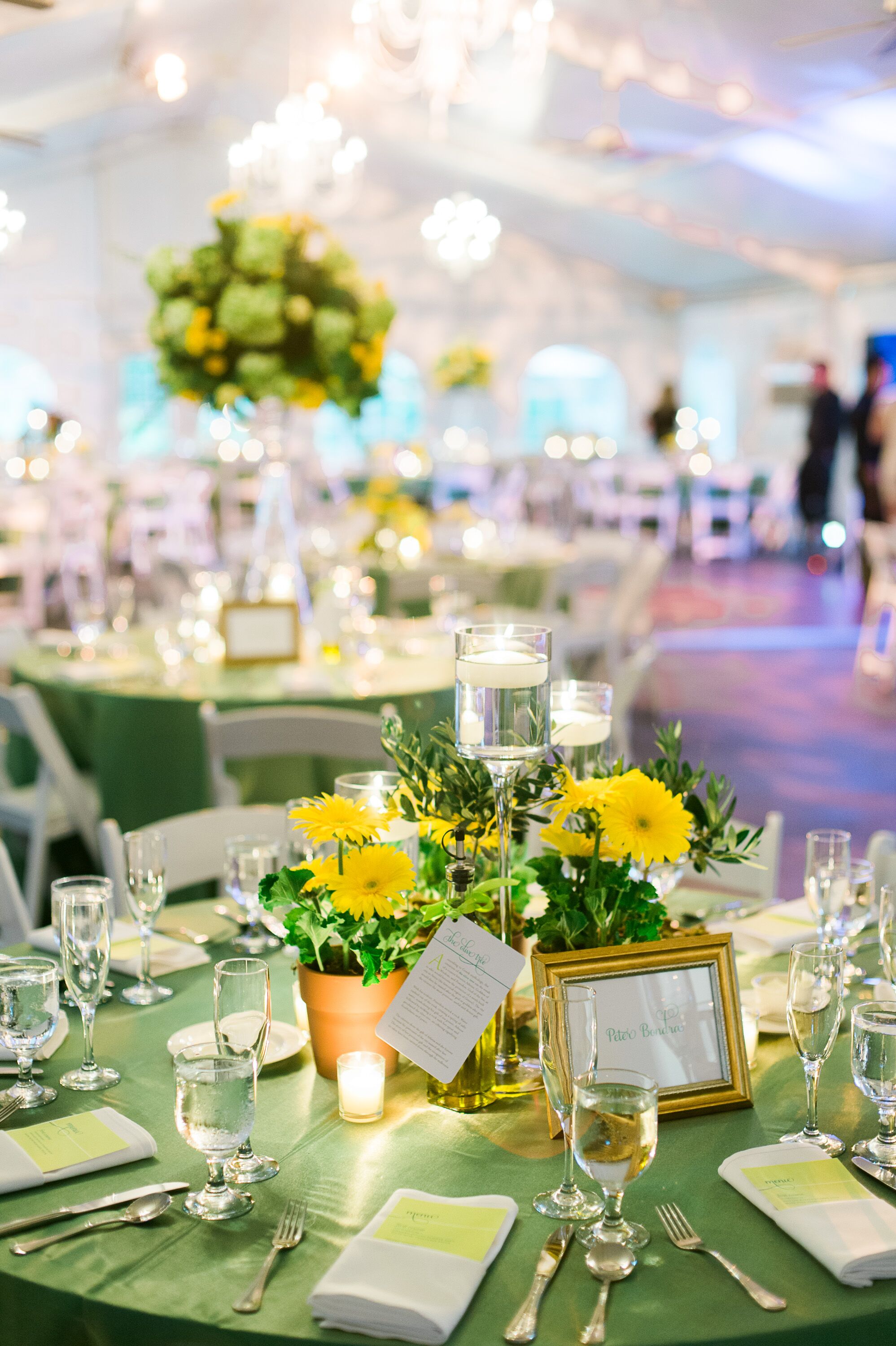 Potted Yellow Gerbera Daisy Centerpiece