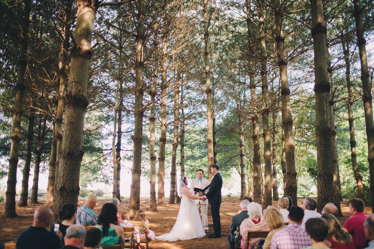 Rustic Pine Tree Thicket Wedding Ceremony