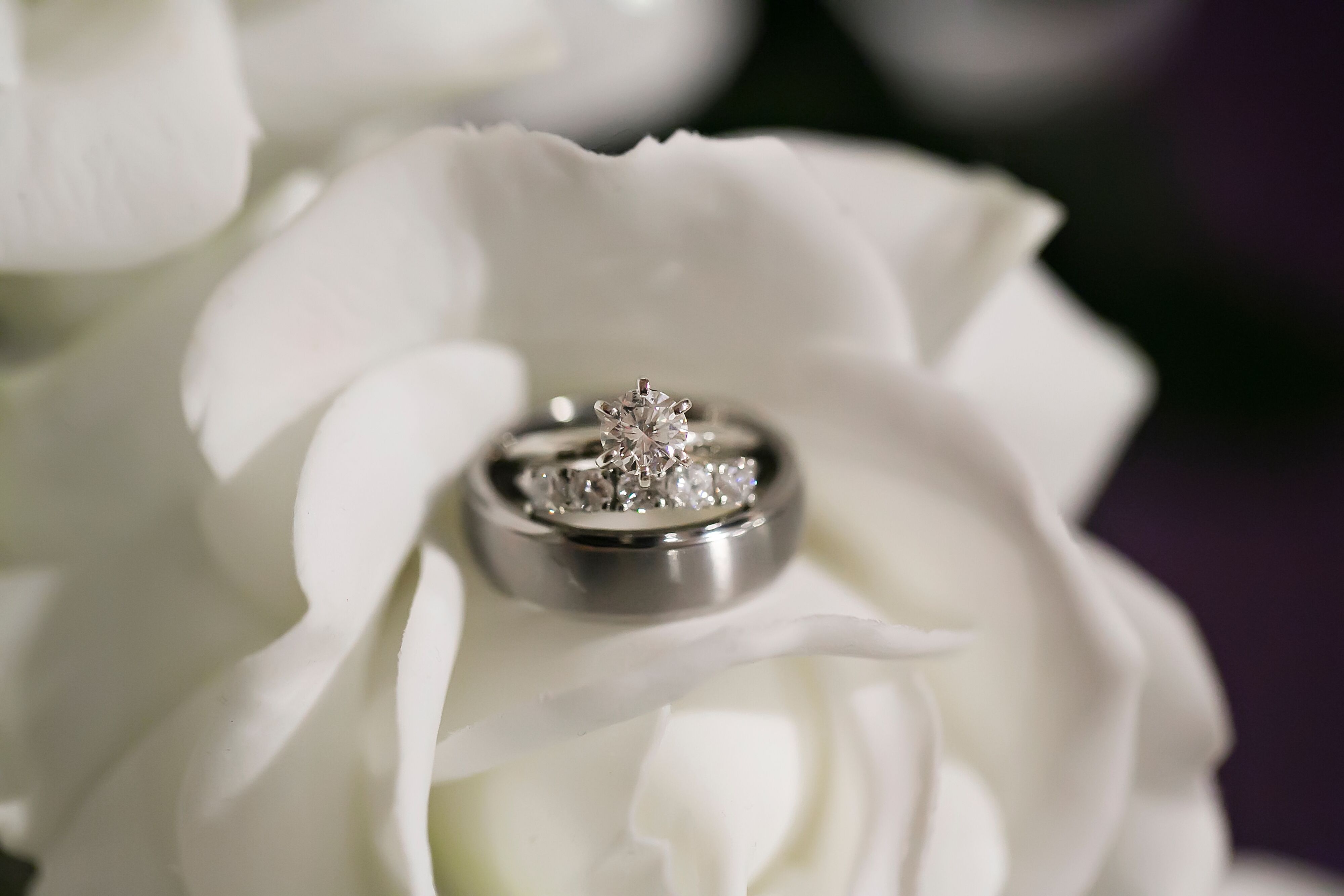 Wedding rings on White Flower