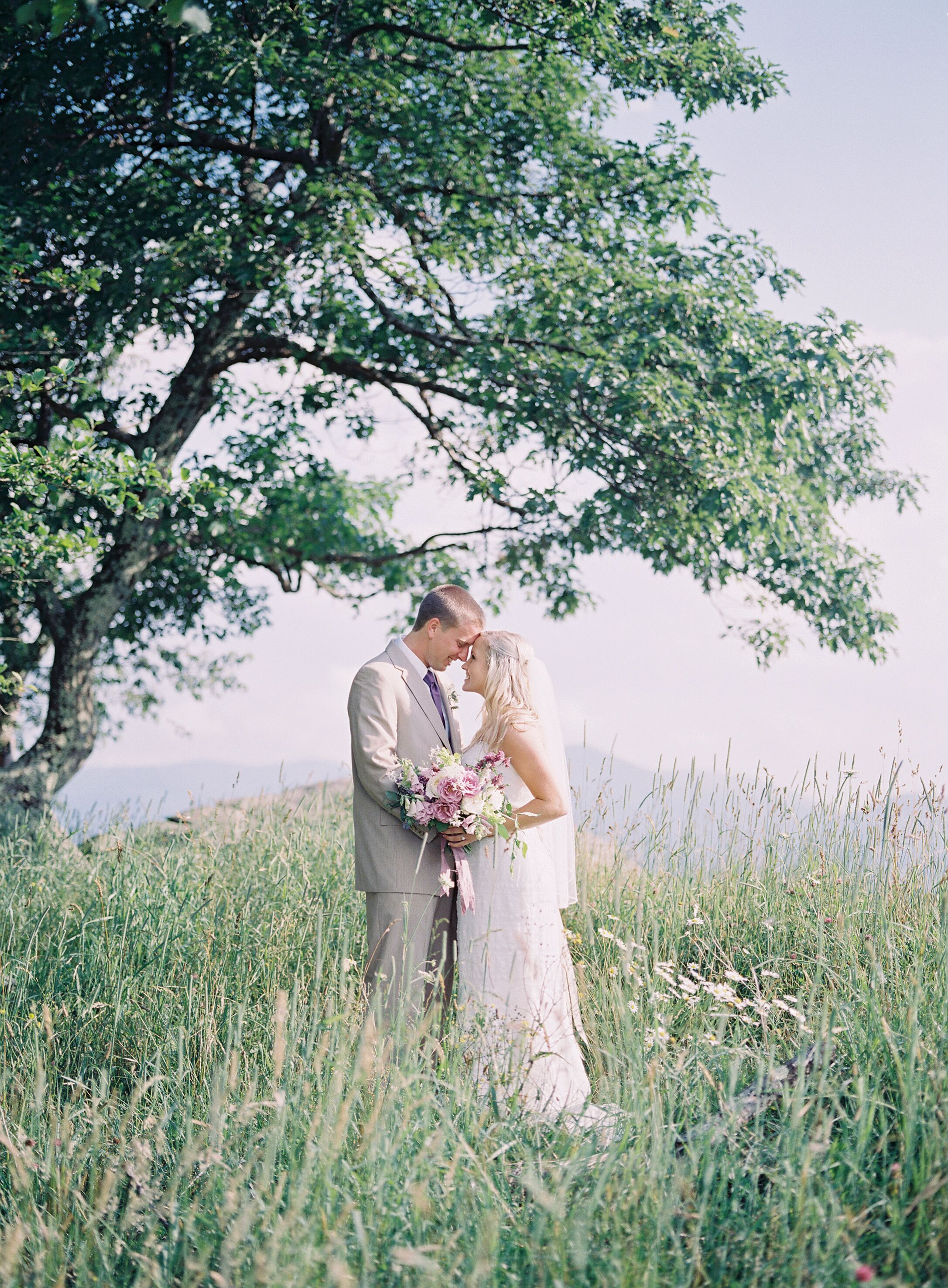 David s Bridal Wisteria Dress